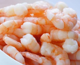 Shrimp